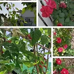 Gelinkizi Apartmanhotel