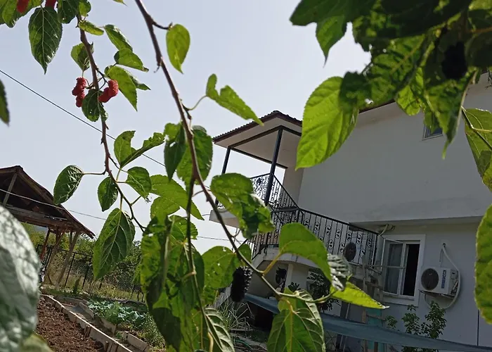 Gelinkizi * Karginkuru