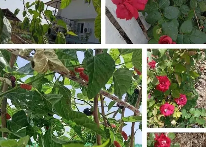 Gelinkizi Appart hôtel